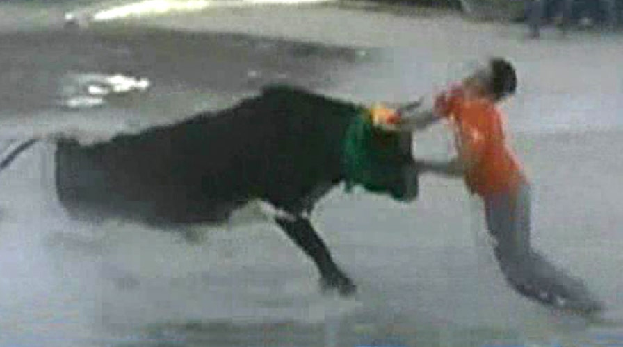 Rampaging bull gores taunting spectator