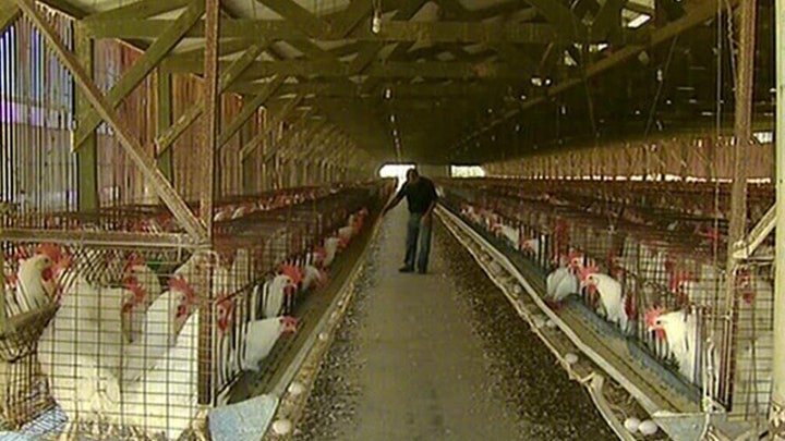 Law regulating eggs in California could have ripple effect