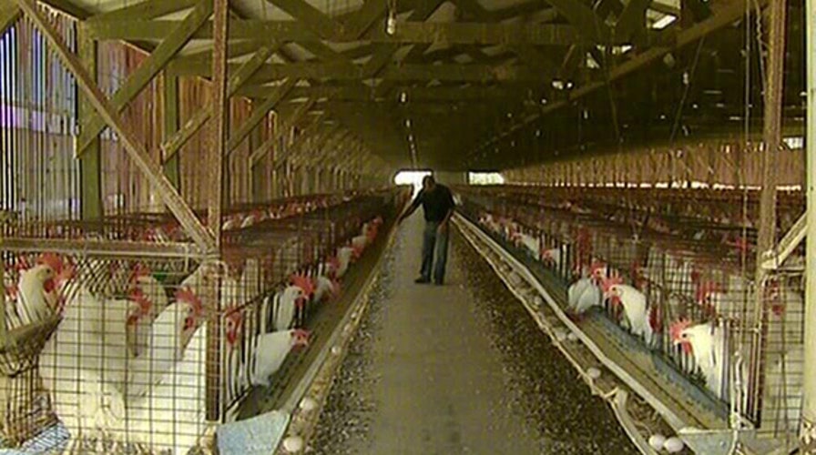 Law regulating eggs in California could have ripple effect