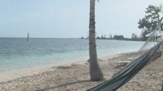 Summer in the Bahamas - Fox News