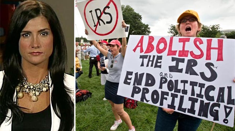 Loesch: IRS sparked 'second coming' of Tea Party