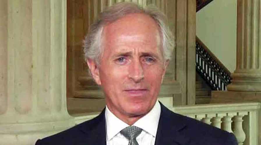 Corker 'thrilled' after Senate OKs 'border surge' amendment