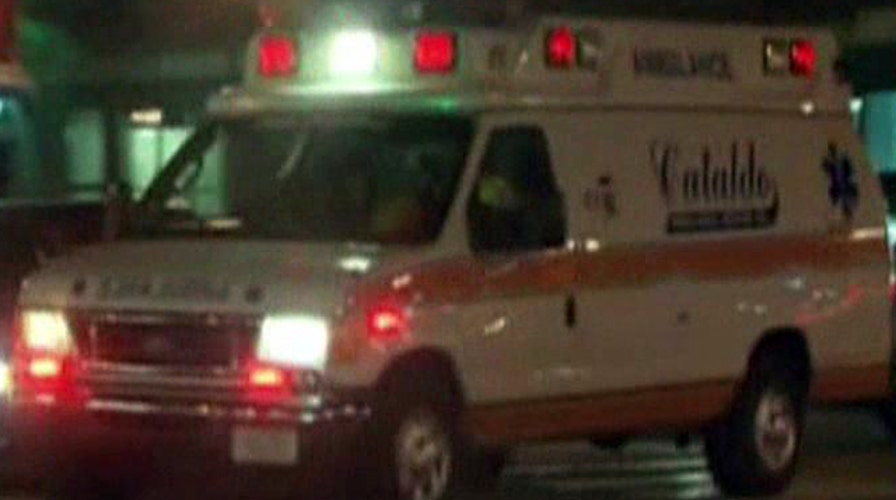Dozens hospitalized during Avicii concert in Boston