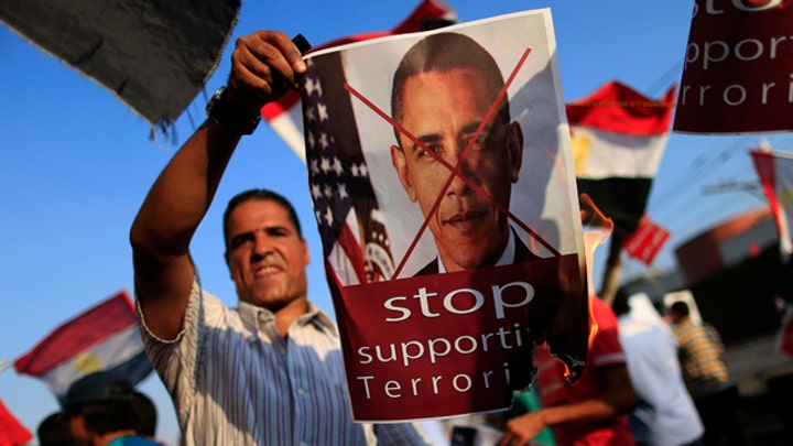 Congress split over whether to cut off aid to Egypt