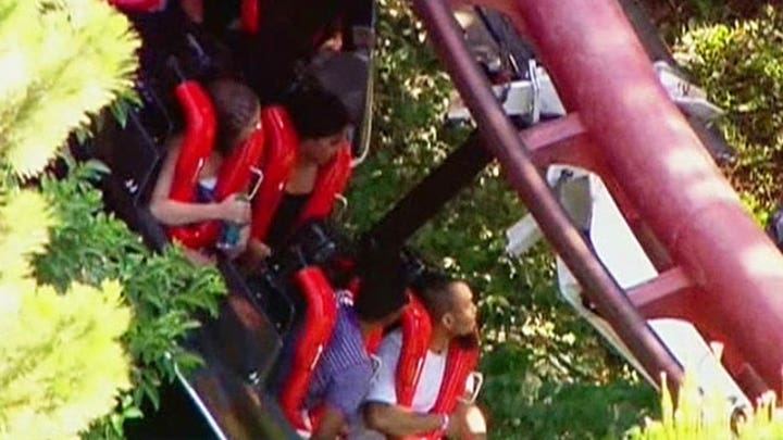 Fallen tree branch halts rollercoaster ride