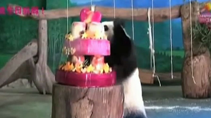 The Good, the Bad and the Ugly