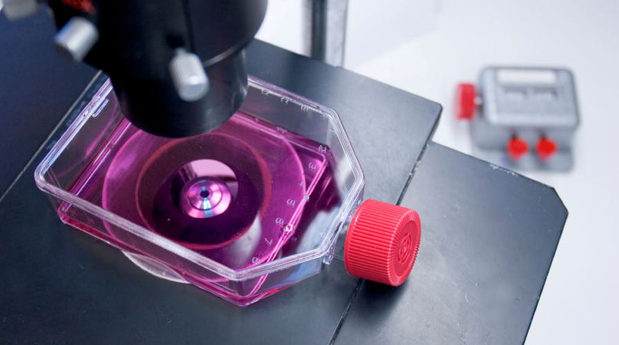 Detecting Alzheimer’s, blindness game-changer, hookah spike