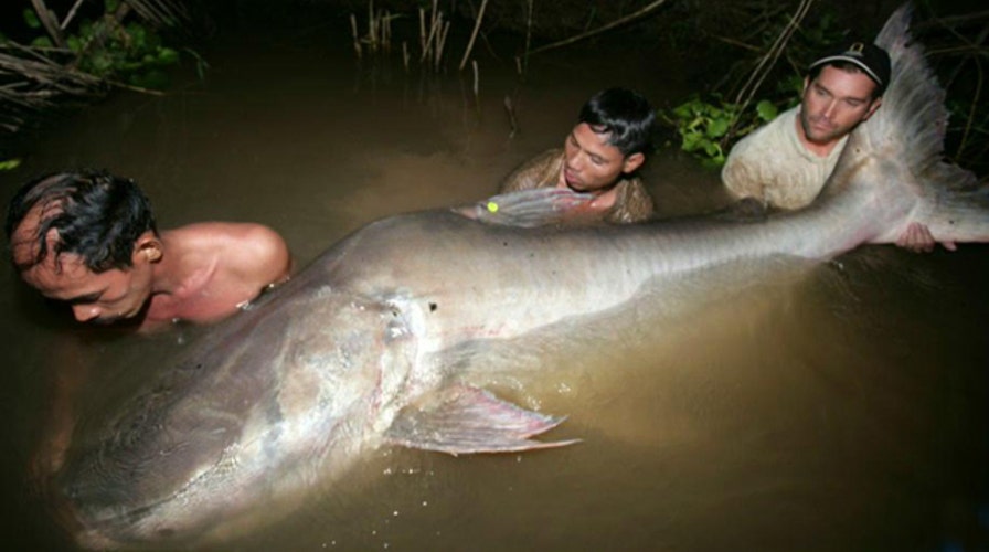 Zeb Hogan is not your average fisherman