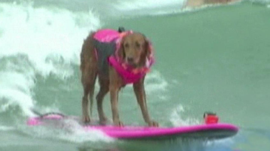 The Good, the Bad and the Ugly