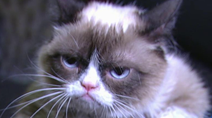 Fox Flash: Internet sensation debuts new music video