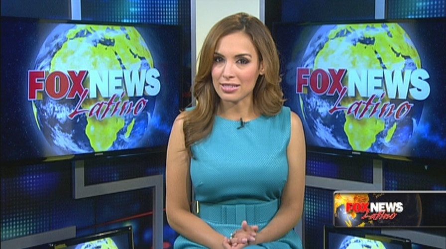 Journalist, activist released by US Border Patrol