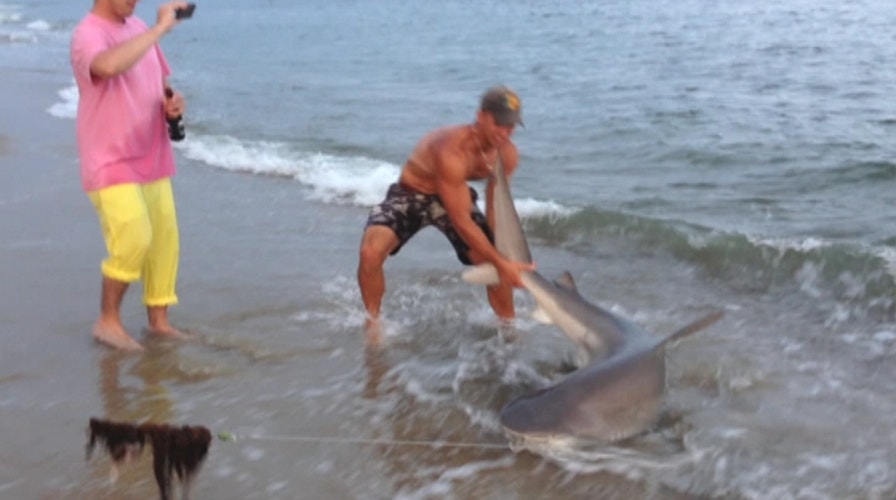 Fisherman Wrestles Shark On Mass. Beach