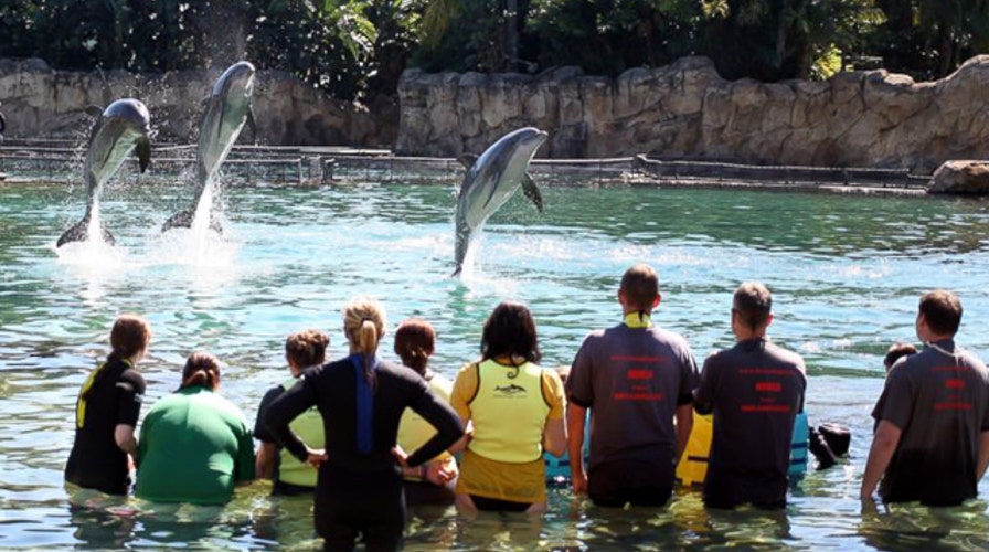 Top amusement parks in America ranked