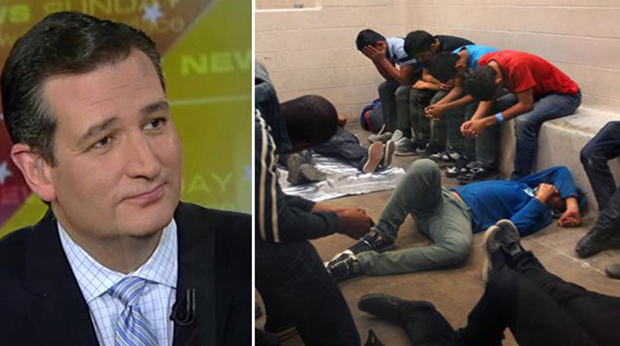 Can Sen. Ted Cruz solve border crisis?