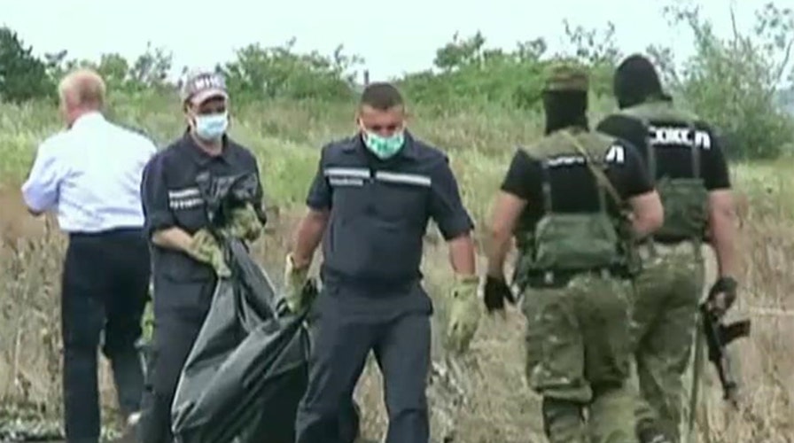 An on-the-ground look at MH17's crash site