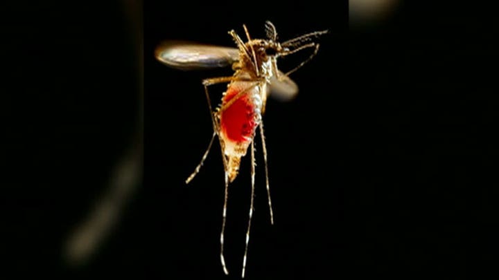 Can you protect your family from mosquito-borne illness?