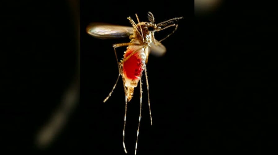 Can you protect your family from mosquito-borne illness?