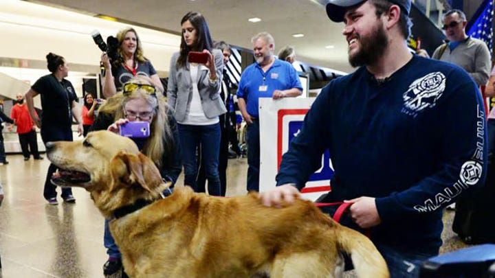 Deployed dogs reunited with their military handlers