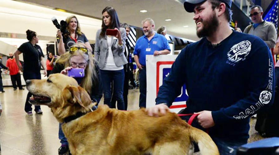 Deployed dogs reunited with their military handlers