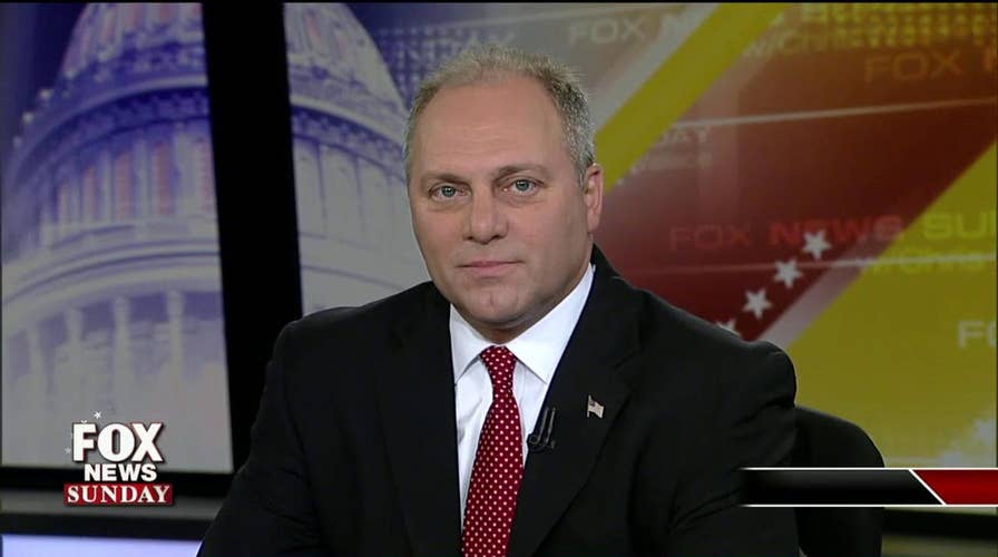 Rep. Steve Scalise talks GOP agenda, immigration crisis