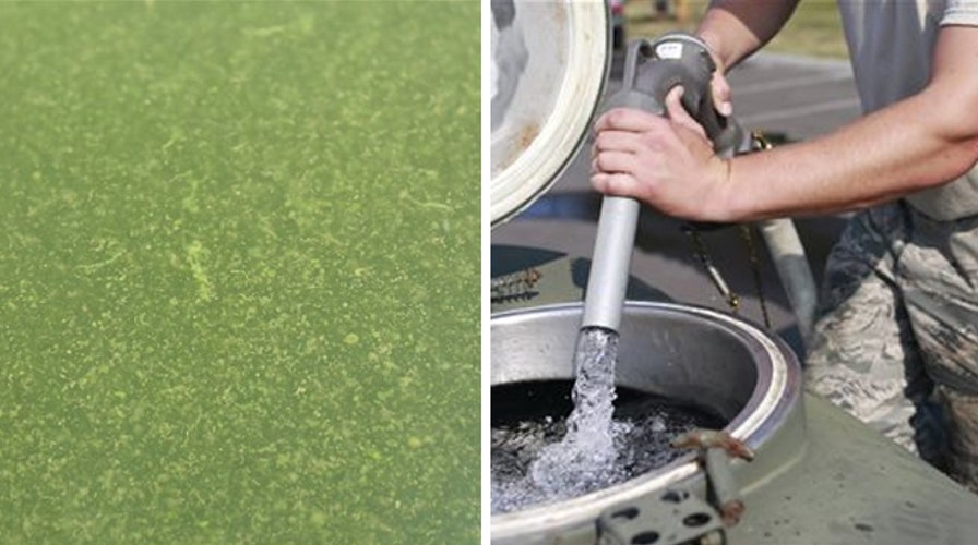 Drinking water ban lifted in Toledo, Ohio