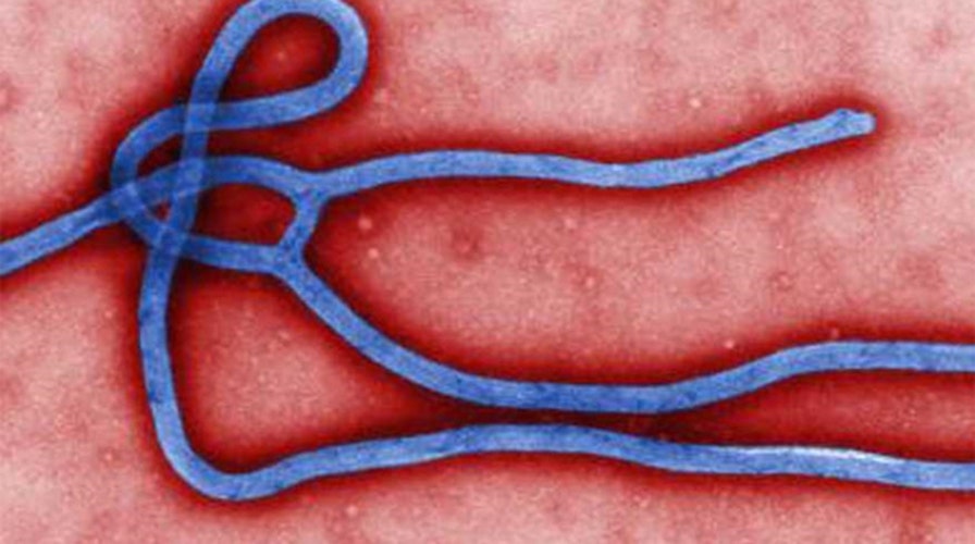 Could an Ebola outbreak happen in the US?