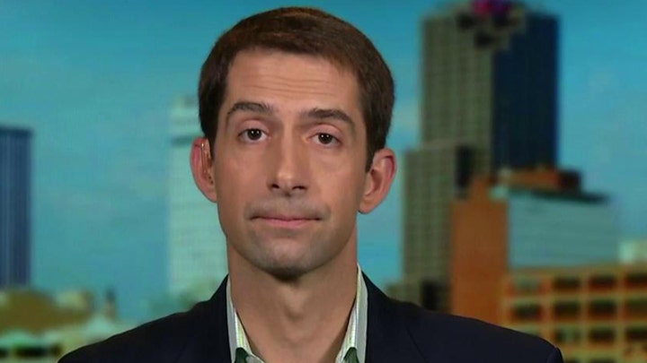 Rep. Cotton slams Dem opponent over illegal immigration
