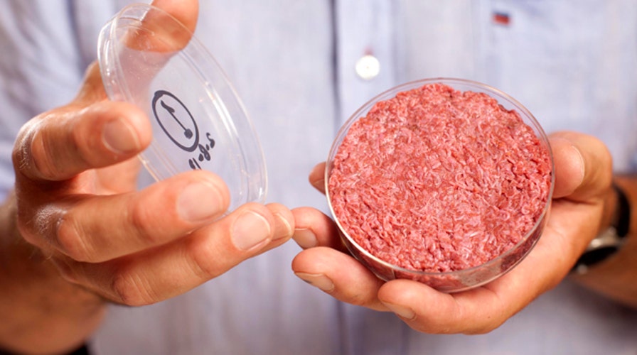 Would you eat a stem cell hamburger?
