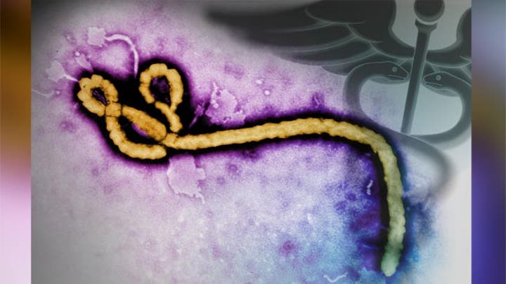 How should deadly Ebola outbreak be handled?