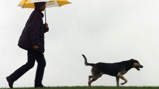 Workout plan for you and your pet - Fox News