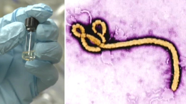Will experimental Ebola treatment be used?