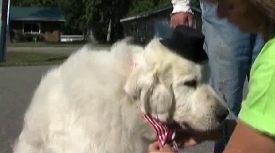 Grapevine: Dog elected mayor of Minnesota town