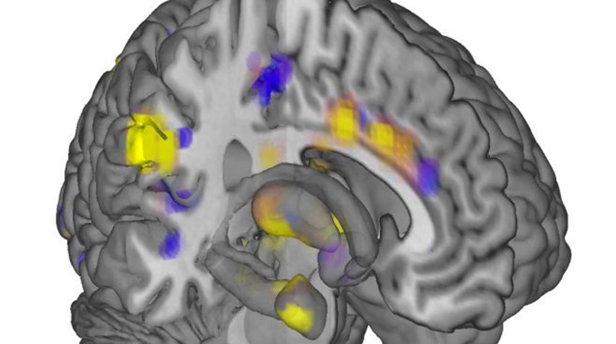 Can science change bad memories into good memories?