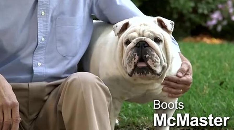 Bias Bash: No coverage of online political solicitations