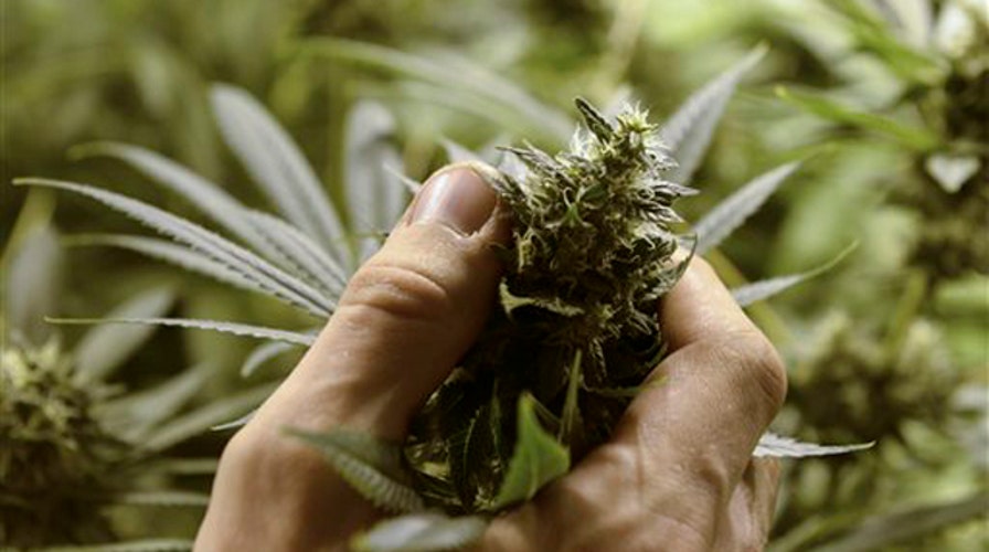 Welfare weed: Berkeley to give pot to low-income patients