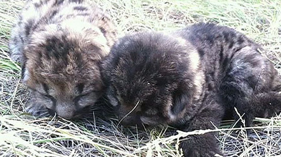 The Good, the Bad and the Ugly