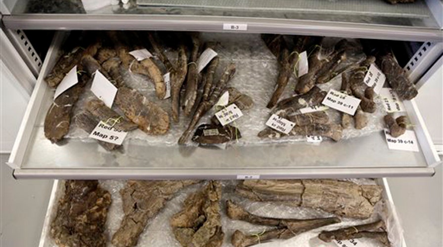 Hits & Misses: 9/6/14