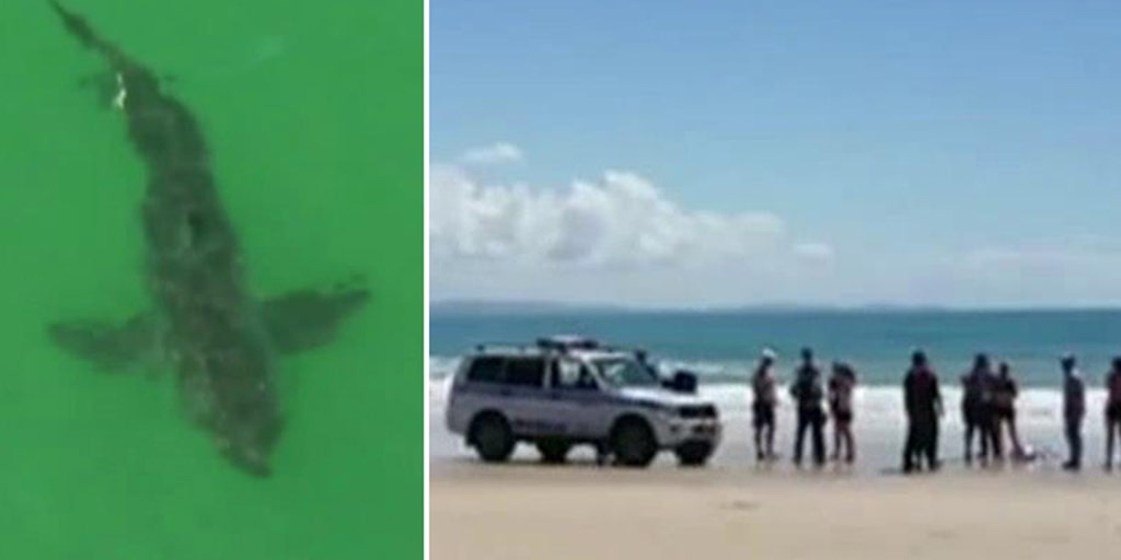 Deadly shark attack off Australian coast | Fox News Video