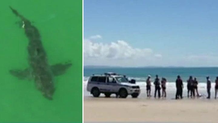 Deadly shark attack off Australian coast