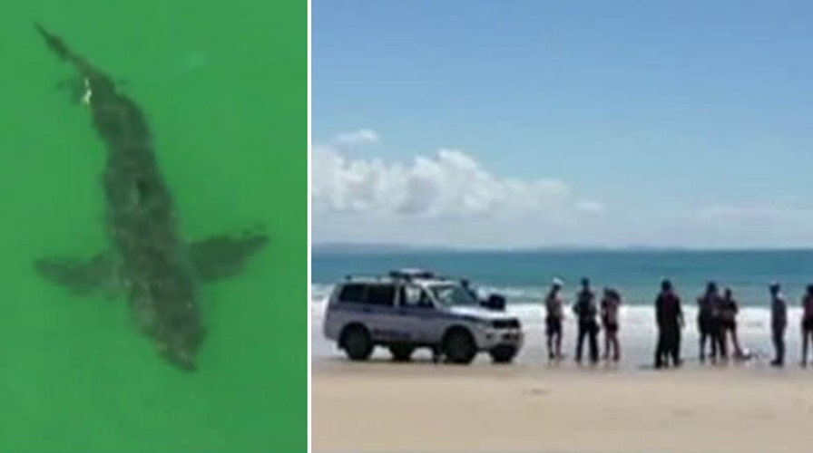 Deadly shark attack off Australian coast