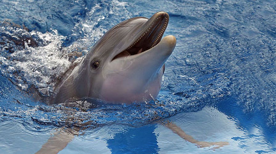 Will audiences flock to family friendly flick?