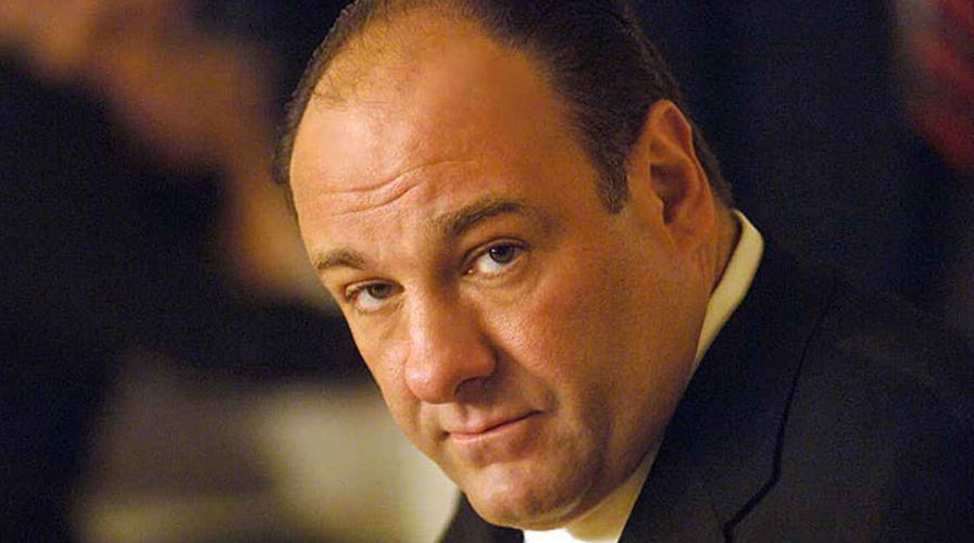 James Gandolfini's final film worth your box office bucks?