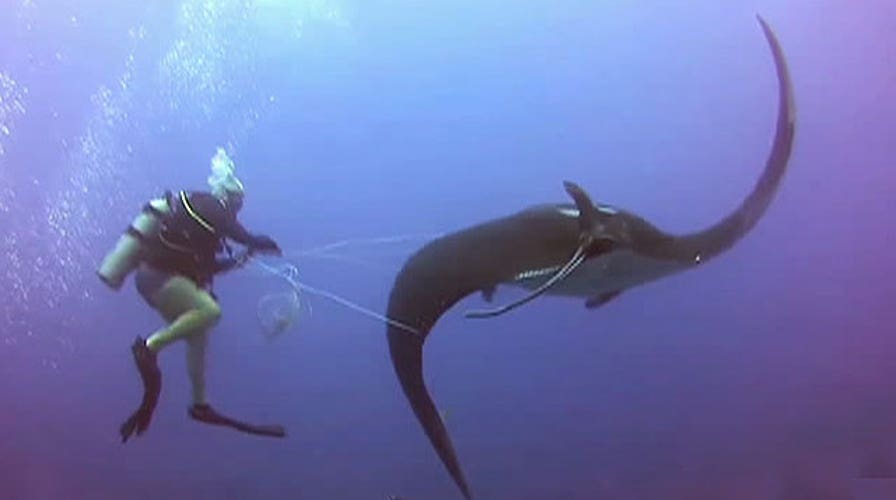 The Good, the Bad and the Ugly