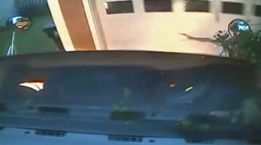 School bus crashes into home 