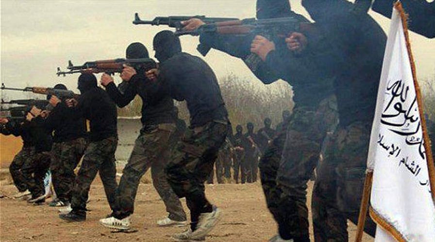 French strike kills dozens of militants in northern Iraq