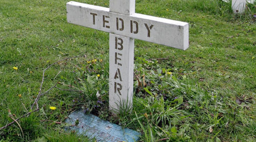 New York lays pet cemetery case to rest
