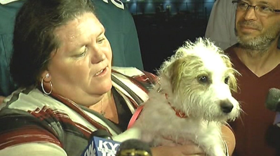 The Good, the Bad and the Ugly