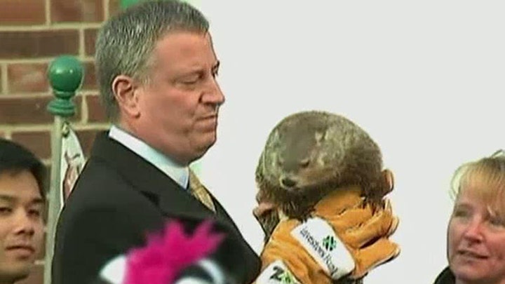 Groundhog dropped by NYC Mayor de Blasio died a week later
