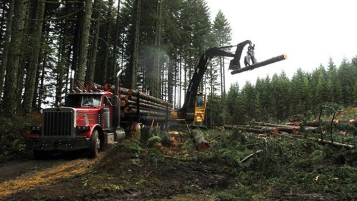 Environmentalists vow fight against new logging legislation