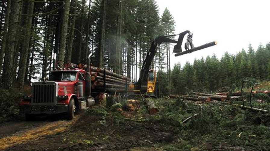 Environmentalists vow fight against new logging legislation